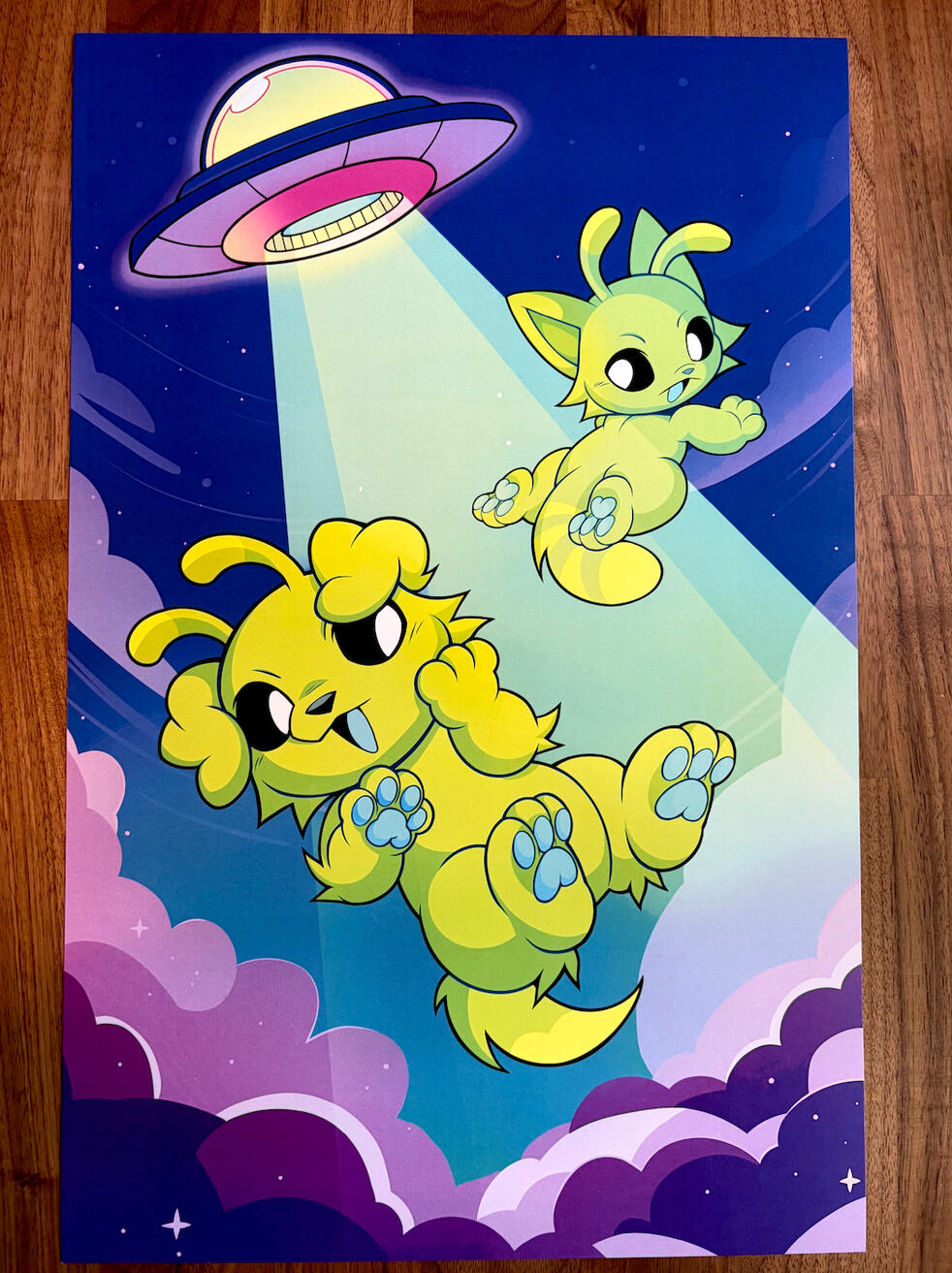 11 X 17